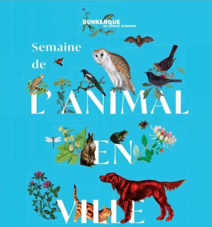 affiche semaine de l'animal 2022